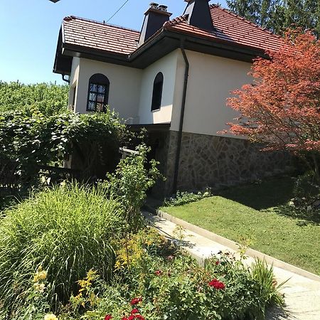 Wine & Nature & Tour Zgornji Leskovec Esterno foto