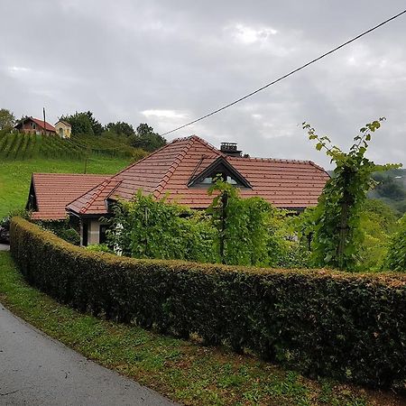 Wine & Nature & Tour Zgornji Leskovec Esterno foto