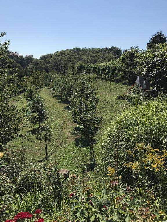 Wine & Nature & Tour Zgornji Leskovec Esterno foto