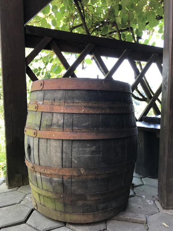 Wine & Nature & Tour Zgornji Leskovec Esterno foto
