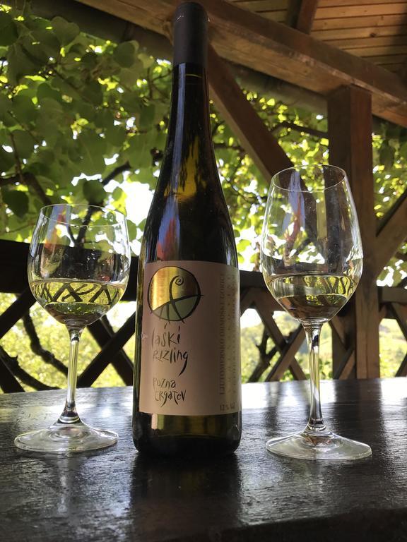 Wine & Nature & Tour Zgornji Leskovec Esterno foto