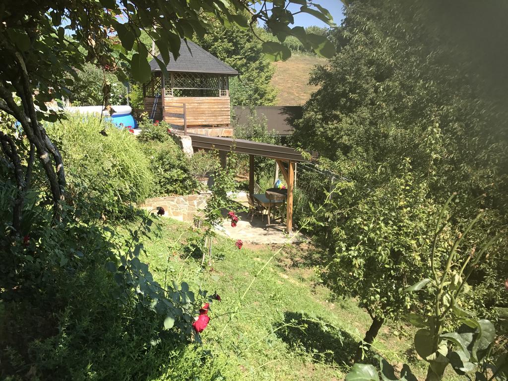 Wine & Nature & Tour Zgornji Leskovec Esterno foto